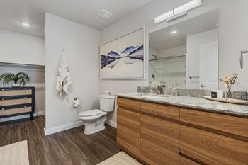 Primary bathroom
